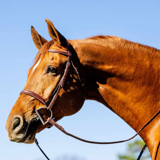 The TackHack Hunter Bridle