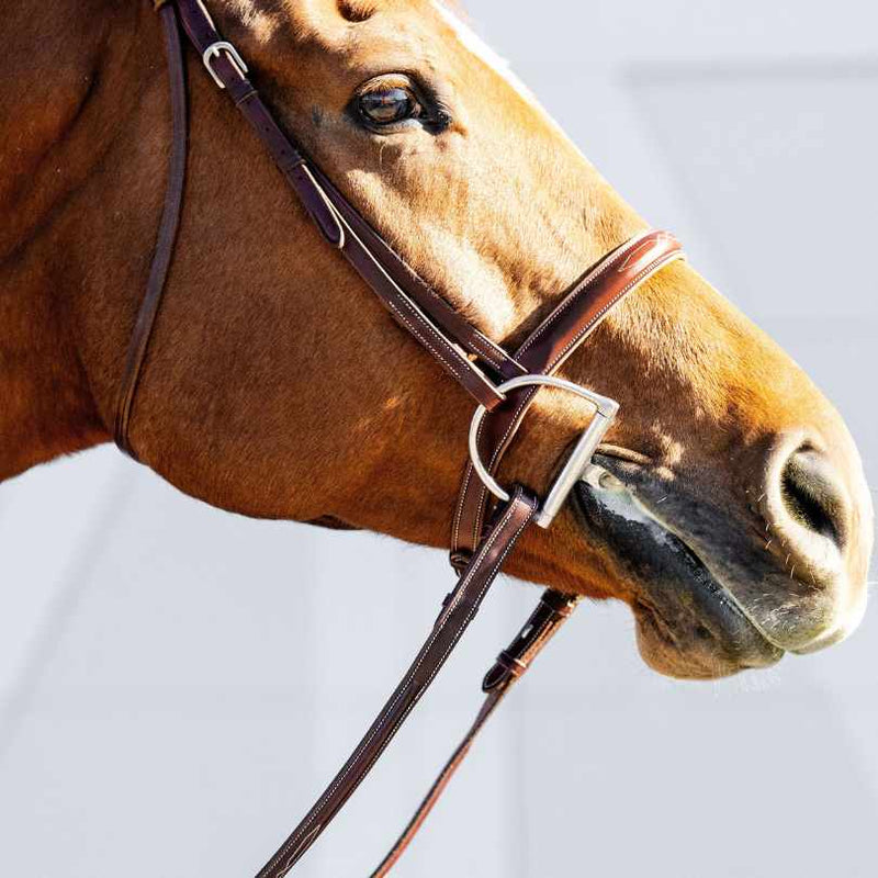 The TackHack Classic Hunter Bridle with Laced Reins