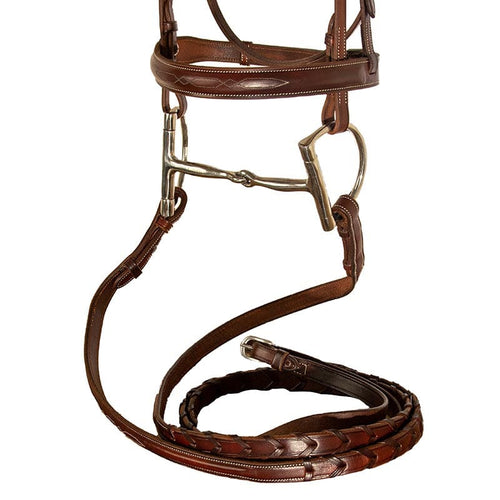 The TackHack Fancy Raised Laced Reins