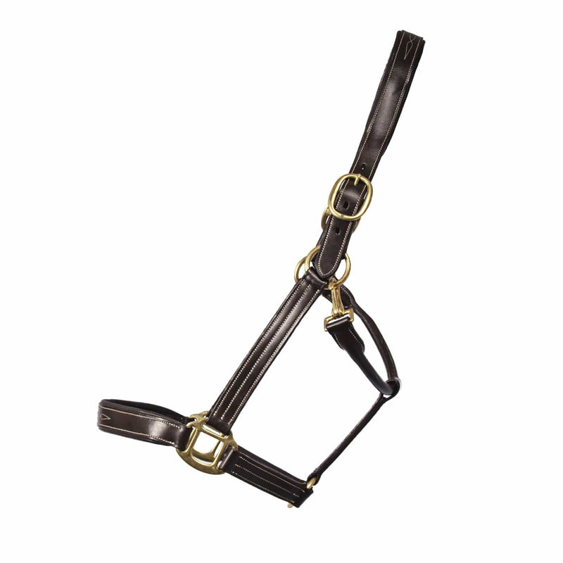 The TackHack Stewart Padded Leather Halter